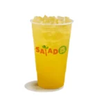 Salad and Go menu with price 2026 46 Mango Grove Lemonade